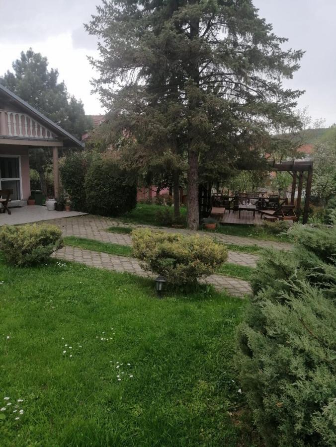 Rajski Vrt Vrdnik Exteriör bild